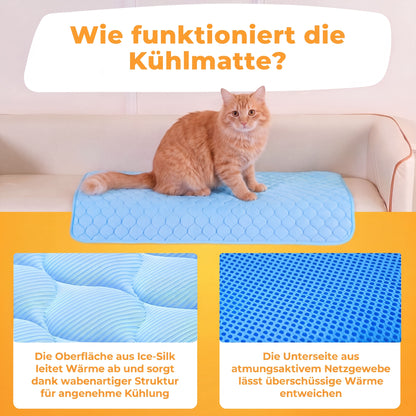 PfotenFrost - Der Bestseller
